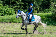Goldene Schärpe 2021 - Ponys