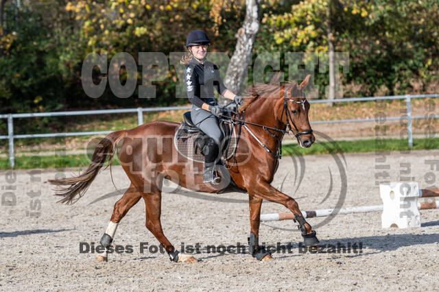 IGV Lehrgang der Sieger der Cups mit Frank Ostholt