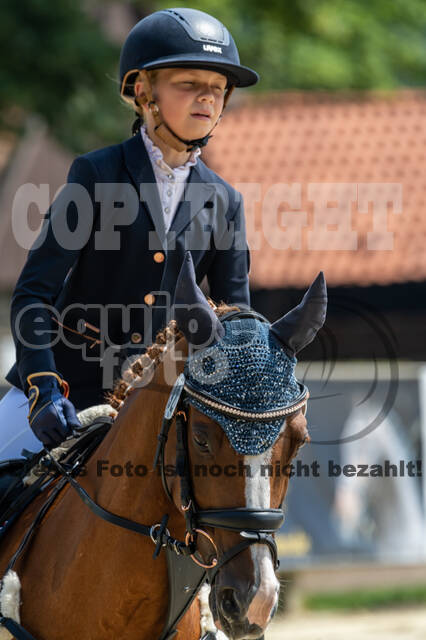 Goldene Schärpe 2021 - Ponys