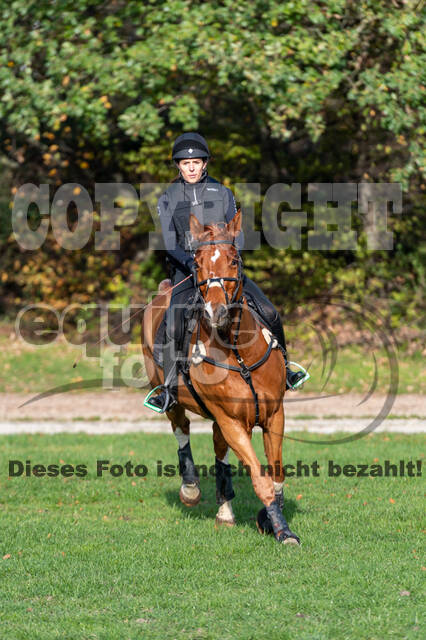 IGV Lehrgang der Sieger der Cups mit Frank Ostholt