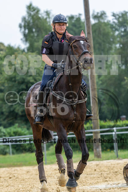 Hunter Geländetraining 10.07.2021 (Sonsbeck)