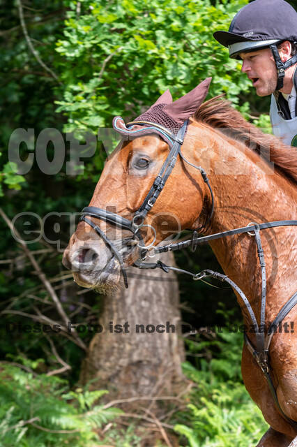 Westerstede Horse Trials 2021
