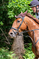 Westerstede Horse Trials 2021