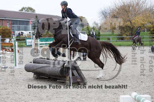 IGV Lehrgang der Sieger der Cups mit Frank Ostholt