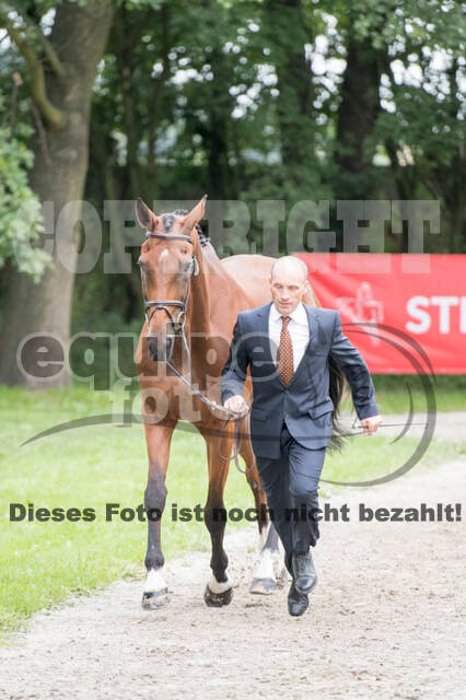 FEI European Championship Eventing 2017