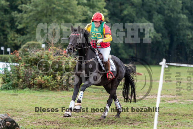 Vielseitigkeit RSV Wesel Obrighoven (26.+27.09.2020)