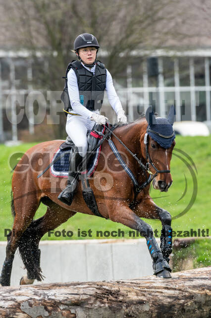 Goldene Schärpe 2020 - Pferde