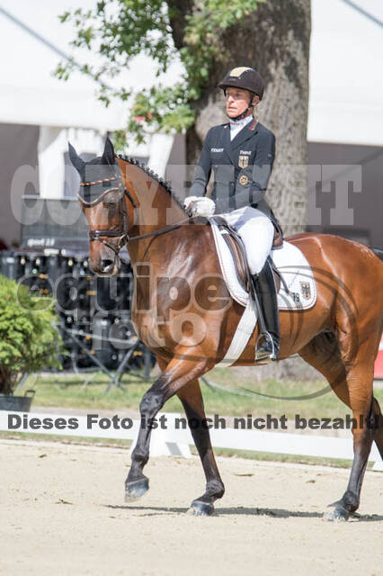 FEI European Championship Eventing 2017