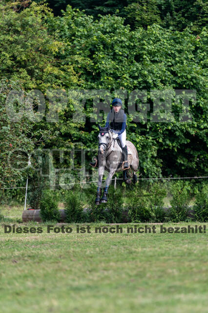 Goldene Schärpe 2021 - Ponys