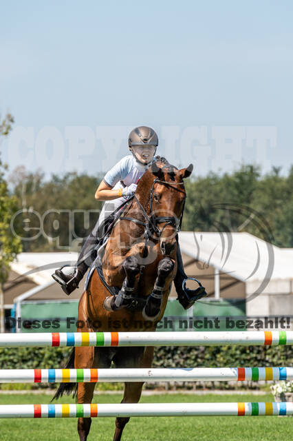 Kronenberg - De Peelbergen (August 2020)