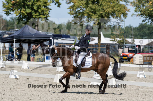 Kronenberg - De Peelbergen (August 2020)