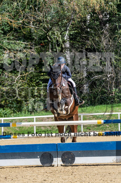 RFV Dinslaken-Hiesfeld (Herbstturnier)