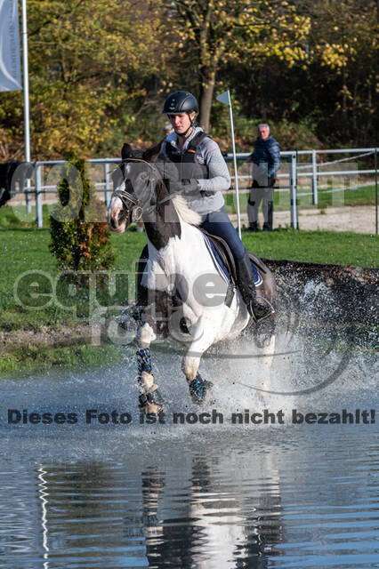 IGV Lehrgang der Sieger der Cups mit Frank Ostholt