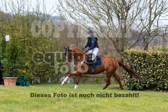 Anna Wecke , My little Rose 3