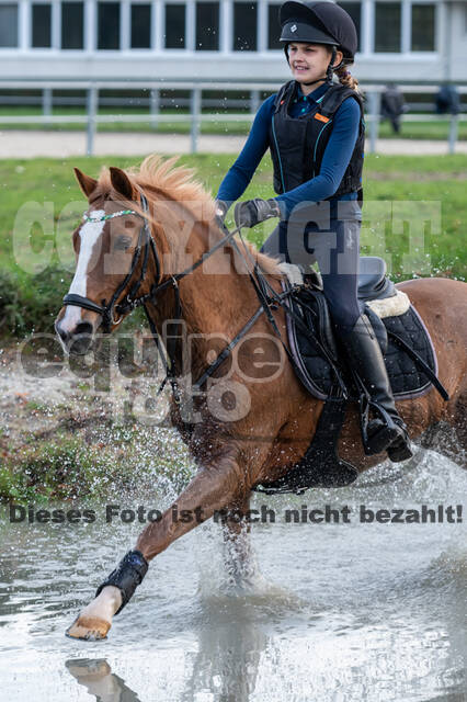 IGV Lehrgang der Sieger der Cups mit Frank Ostholt