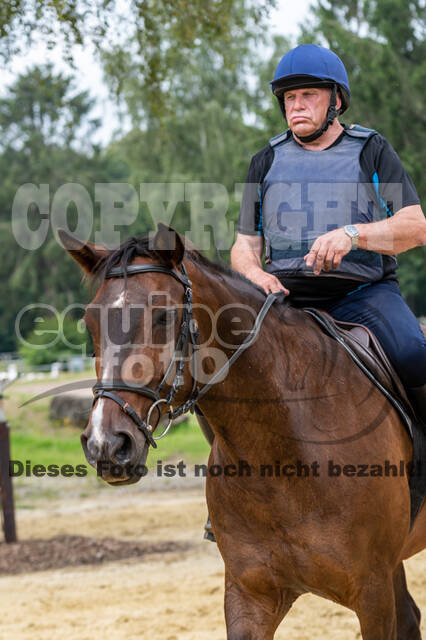 Hunter Geländetraining 10.07.2021 (Sonsbeck)