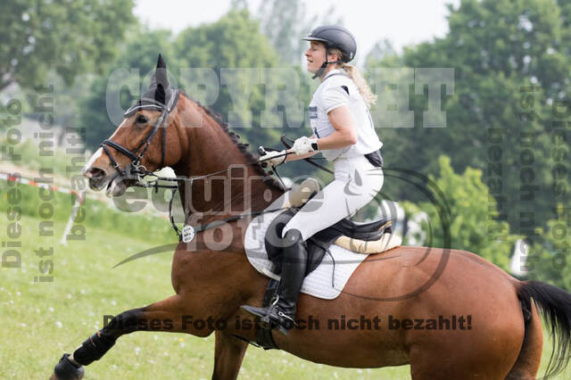 Vielseitigkeitsturnier ZRFV von Lützow Hamminkeln