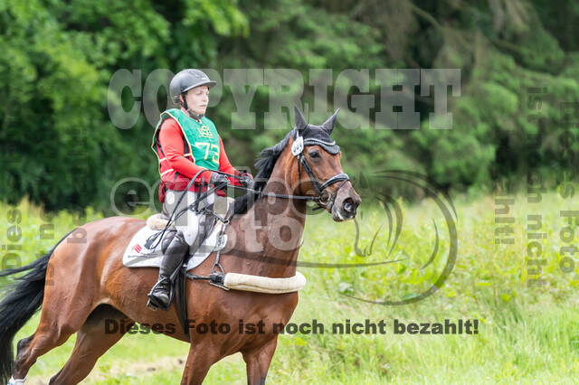 Westerstede Horse Trials (10.-13.06.2021)