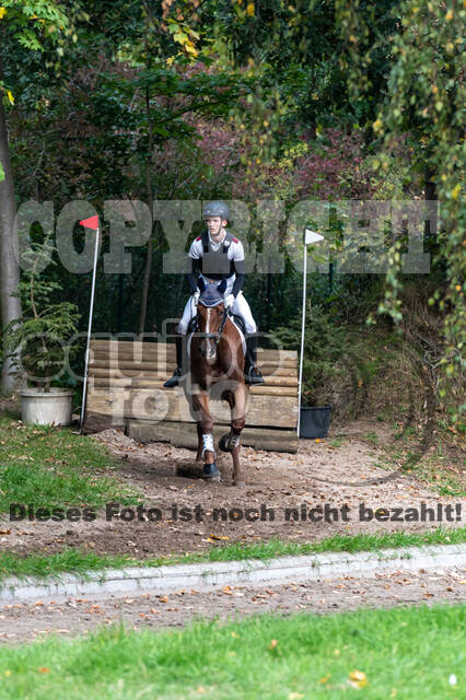 Goldene Schärpe 2020 - Pferde