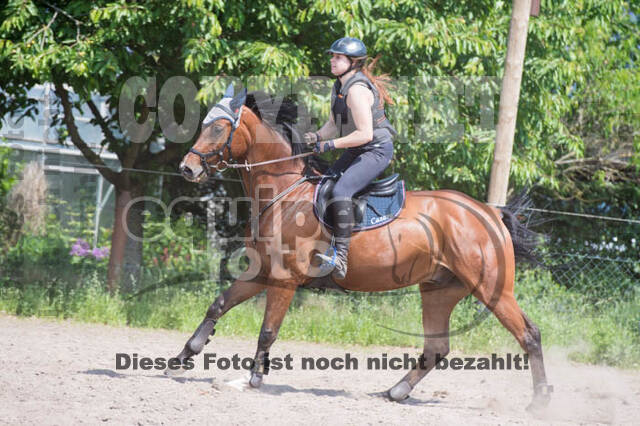 Tholi-Tour Lehrgang Vanessa Bölting