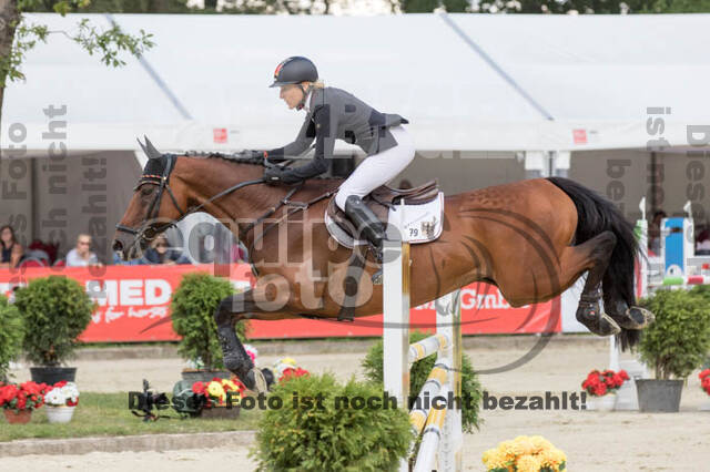 FEI European Championship Eventing 2017