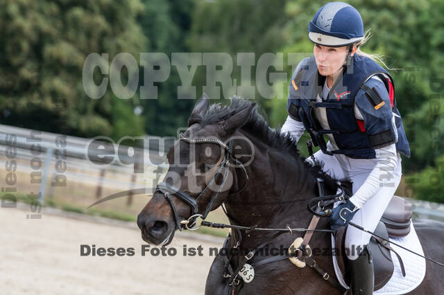 Late-Entry-Vielseitigkeit Langenfeld (11.+13./14.06.2020)