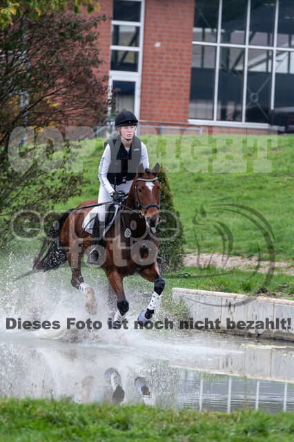 Goldene Schärpe 2020 - Pferde