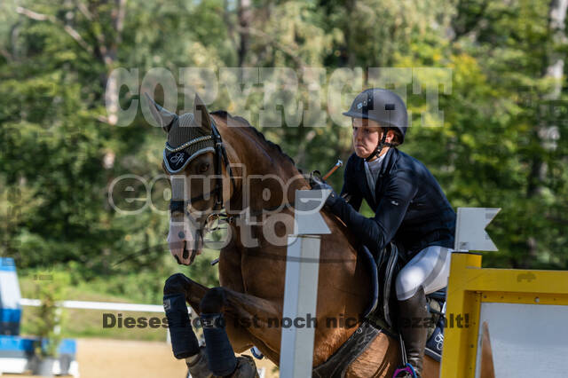 RFV Dinslaken-Hiesfeld (Herbstturnier)