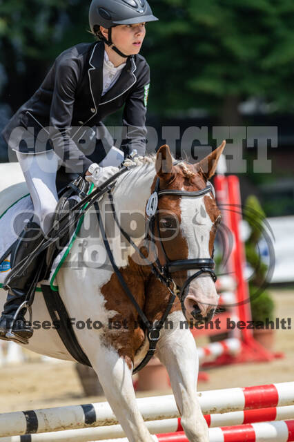 Goldene Schärpe 2021 - Ponys