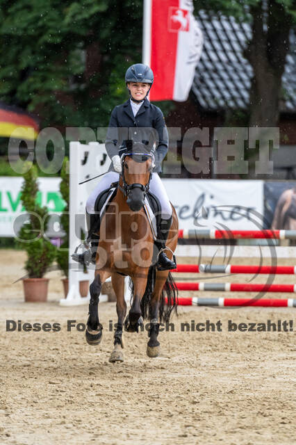 Goldene Schärpe 2021 - Ponys