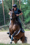 Hunter Geländetraining (16.08.2020)