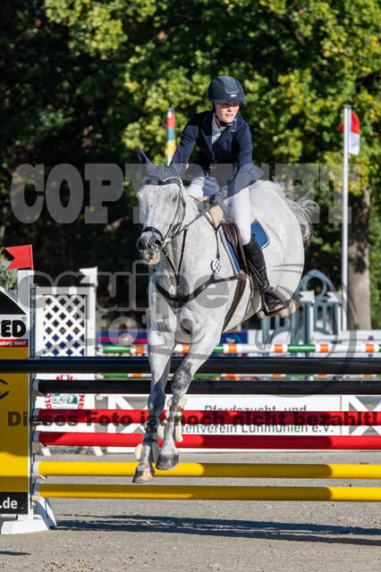 Deutsche Meisterschaft Vielseitigkeit (Luhmühlen)
