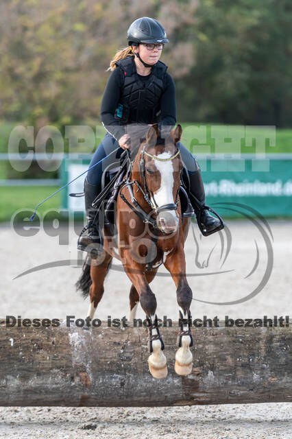 IGV Lehrgang der Sieger der Cups mit Frank Ostholt