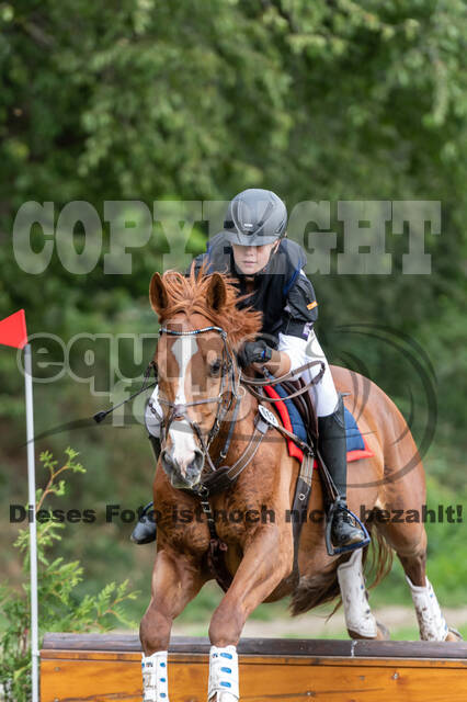 Late-Entry-Vielseitigkeit Langenfeld (06.+07.07.2020)