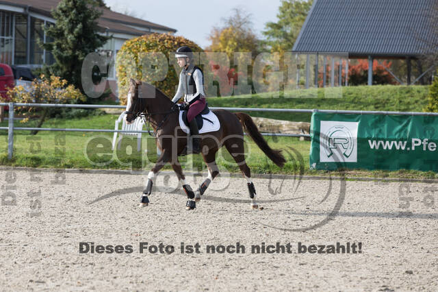IGV Lehrgang der Sieger der Cups mit Frank Ostholt