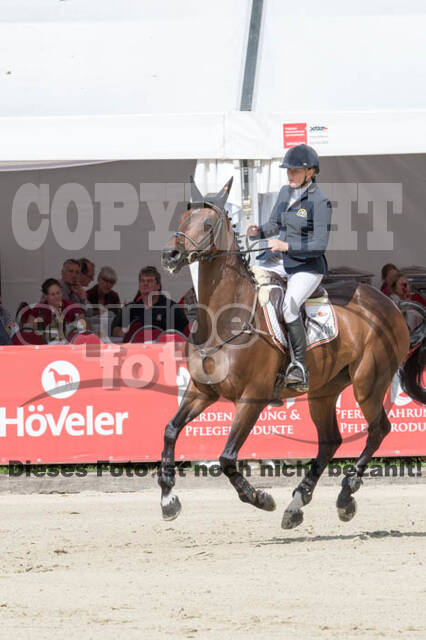 FEI European Championship Eventing 2017