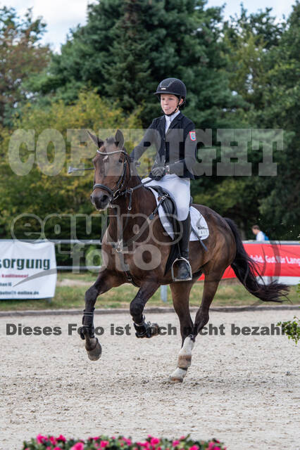 Landesturnier Rheinland, Vielseitigkeit, 22.+23.08.2020