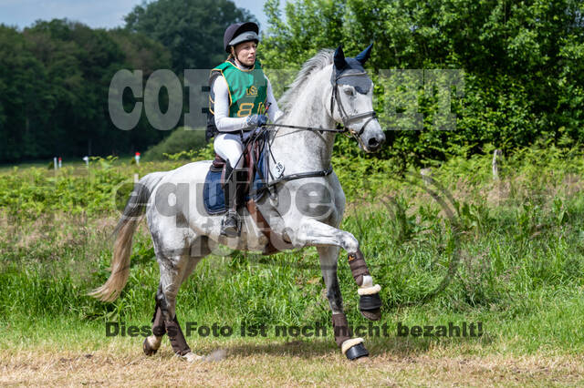 Westerstede Horse Trials (10.-13.06.2021)
