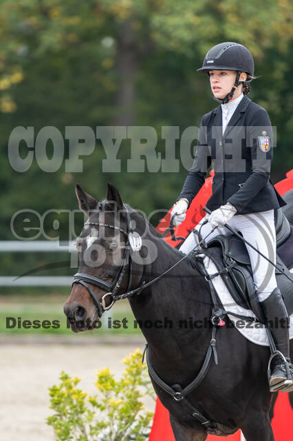 Goldene Schärpe 2020 - Pferde