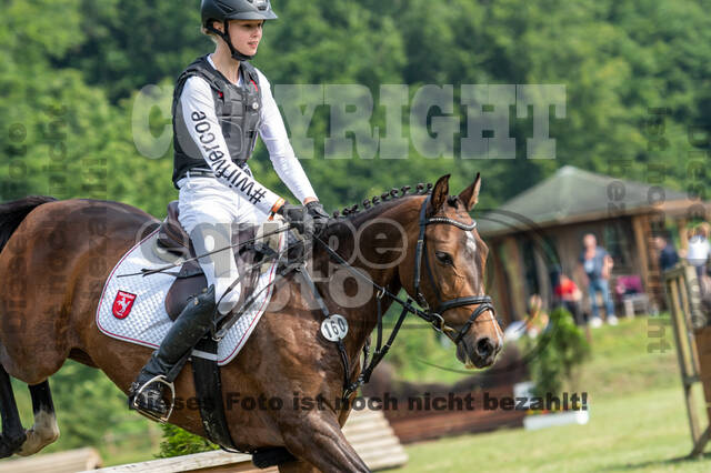 Goldene Schärpe 2021 - Ponys