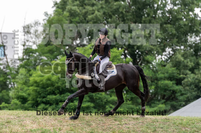 Late-Entry-Vielseitigkeit Langenfeld (11.+13./14.06.2020)