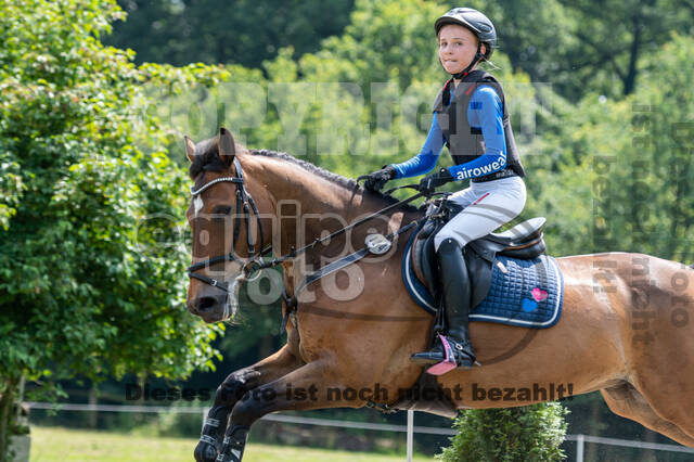 Goldene Schärpe 2021 - Ponys