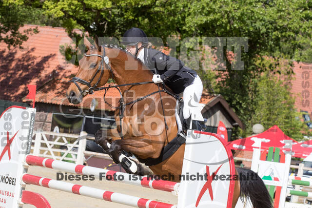 Sterne über Münster 2019 - CCI***S