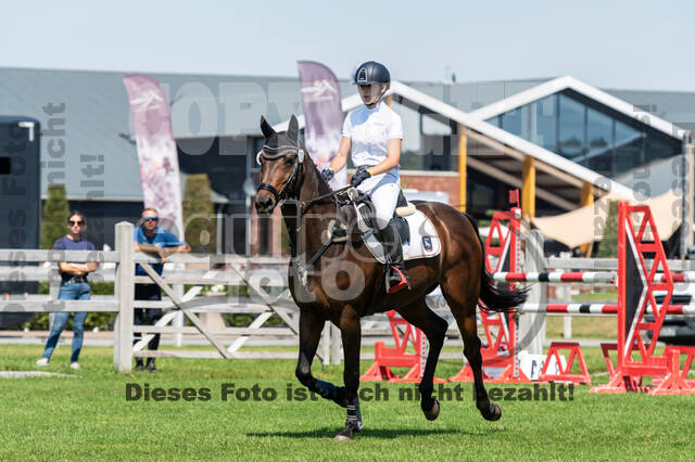 Kronenberg - De Peelbergen (August 2020)