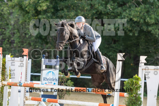 RFV Dinslaken-Hiesfeld (Herbstturnier)