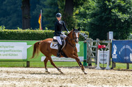 Goldene Schärpe 2021 - Ponys