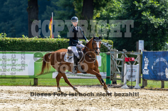 Goldene Schärpe 2021 - Ponys