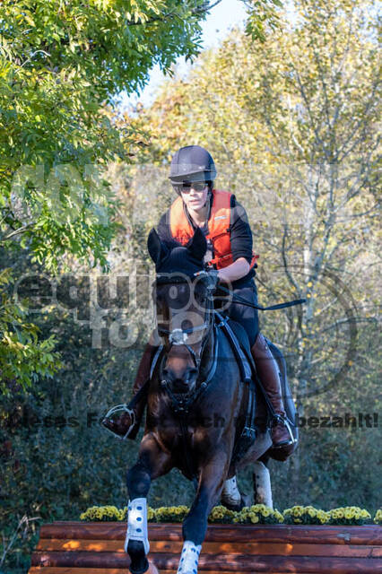 Vielseitigkeitslehrgang mit Jürg Kurbel (9.+10.11.2019)