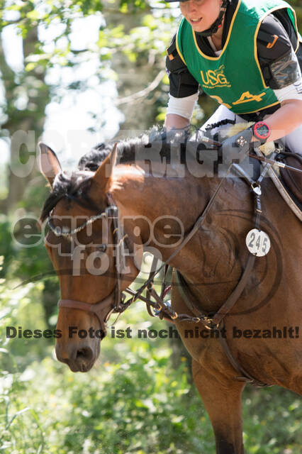 Vielseitigkeitsturnier ZRuFV von Lützow Hamminkeln