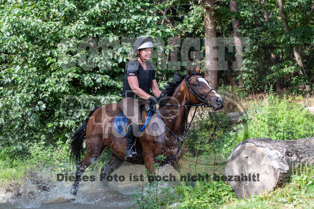 Hunter Geländetraining (16.08.2020)